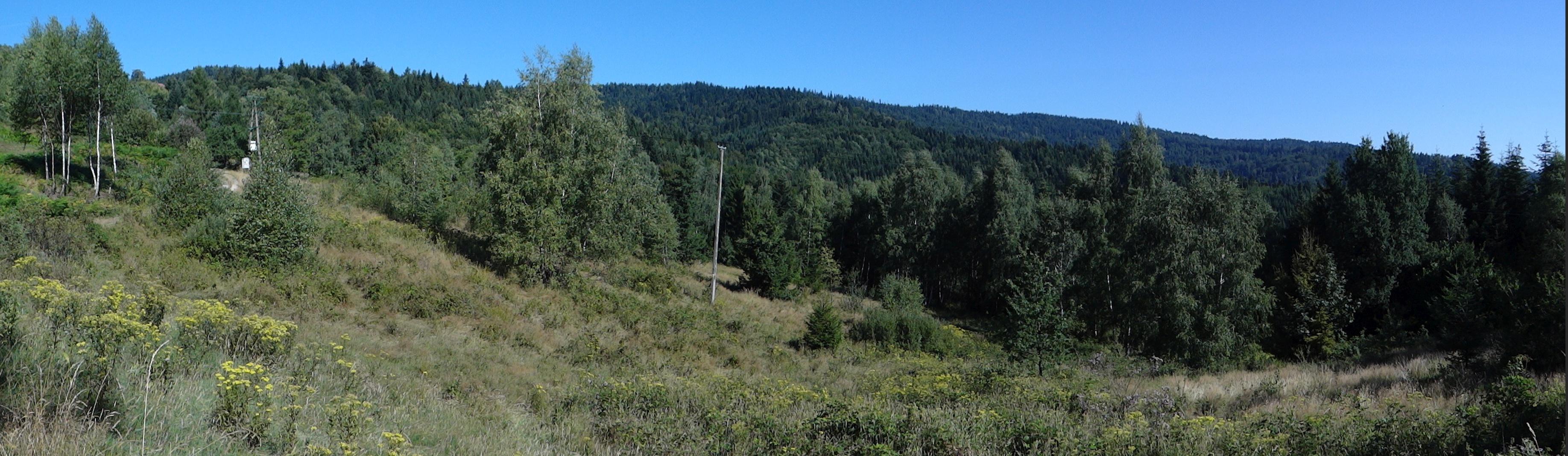 Pośredni Groń